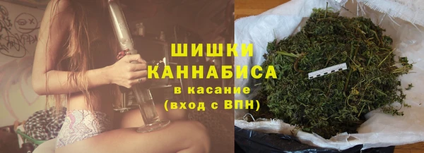 прущие крисы Магас