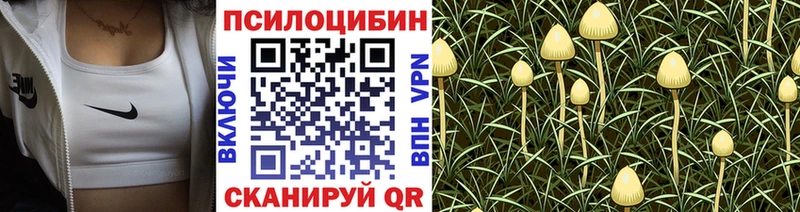 цены наркотик  Любань  Галлюциногенные грибы прущие грибы 